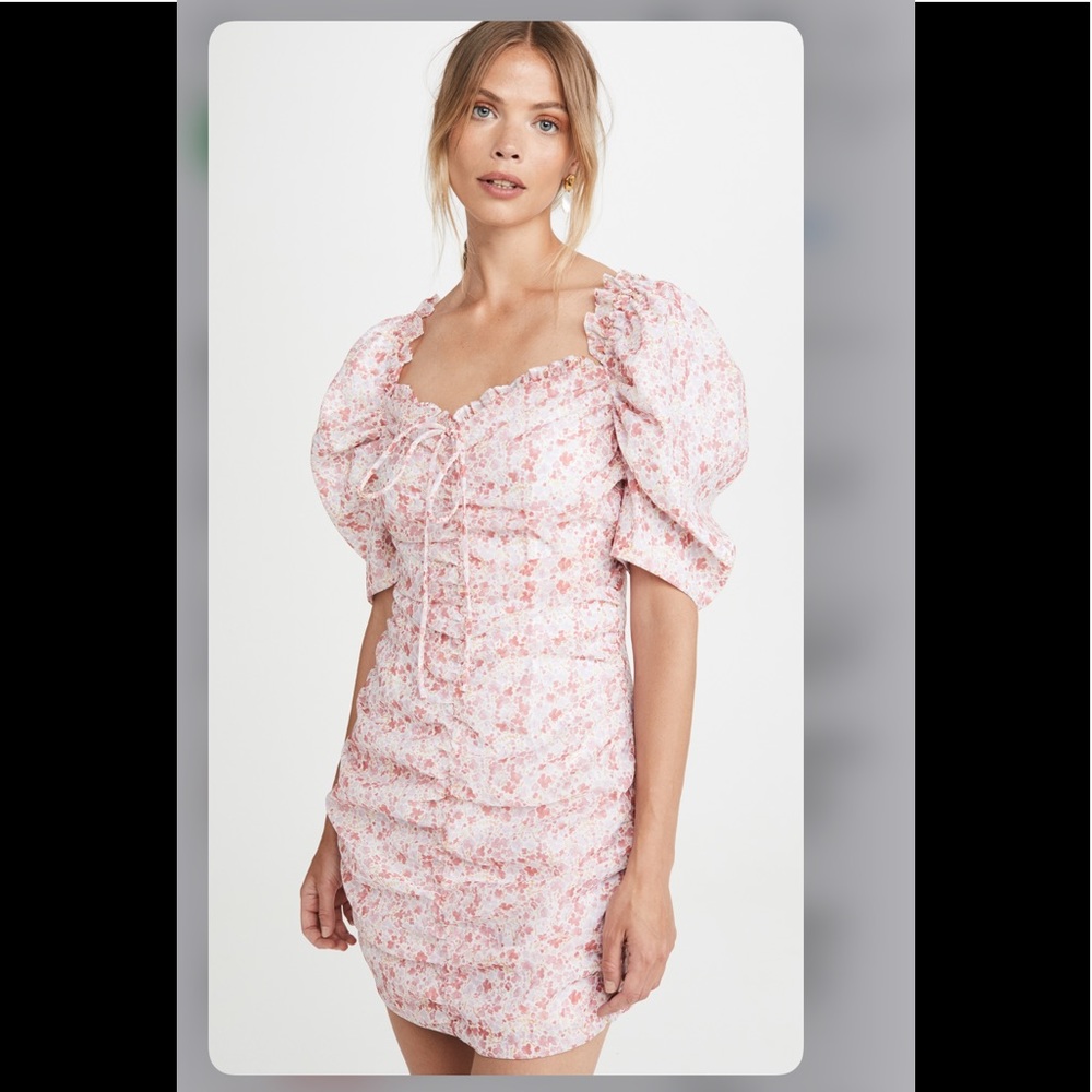 Pinky ditsy NEW